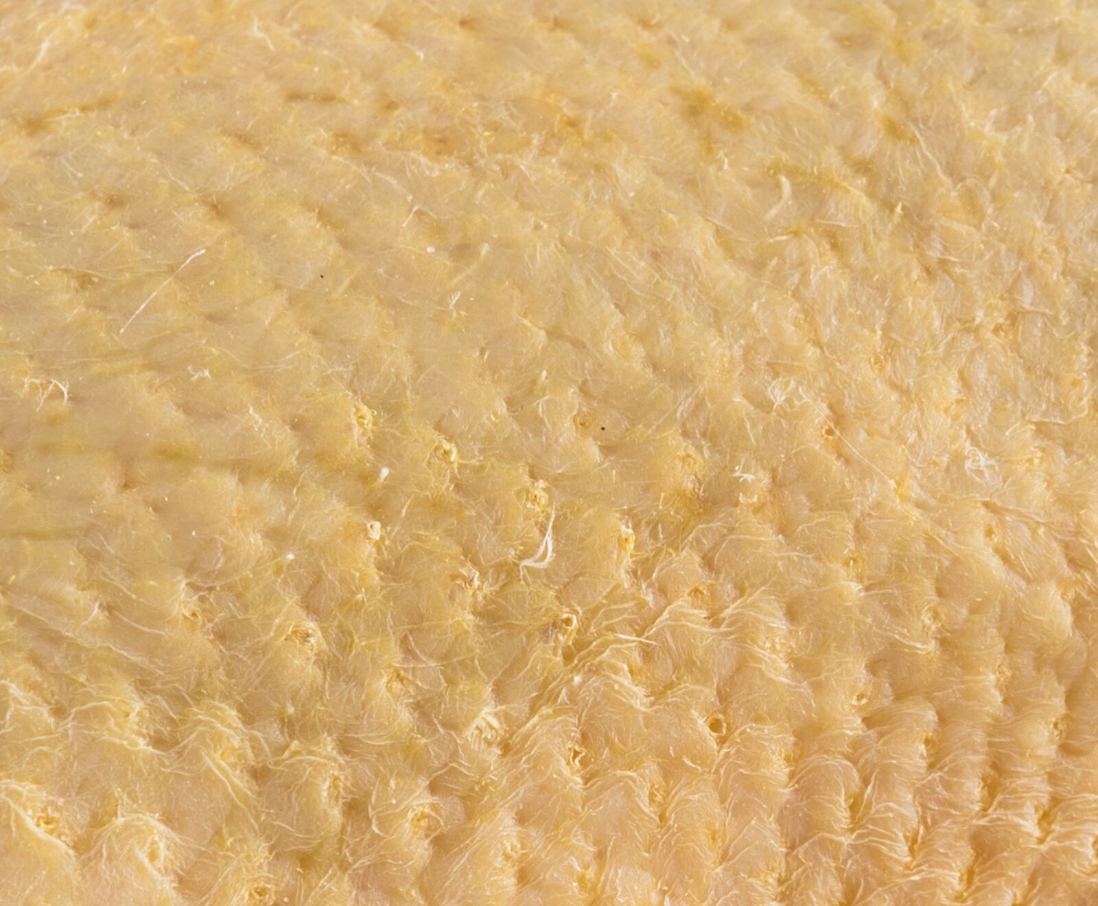 Französische Barbarie Ente ganz