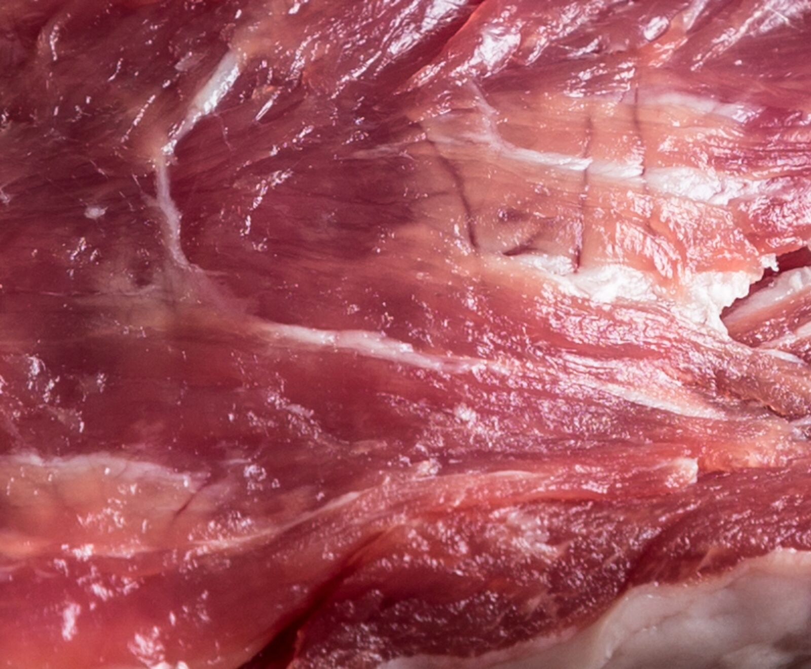 Spanische Iberico Pluma