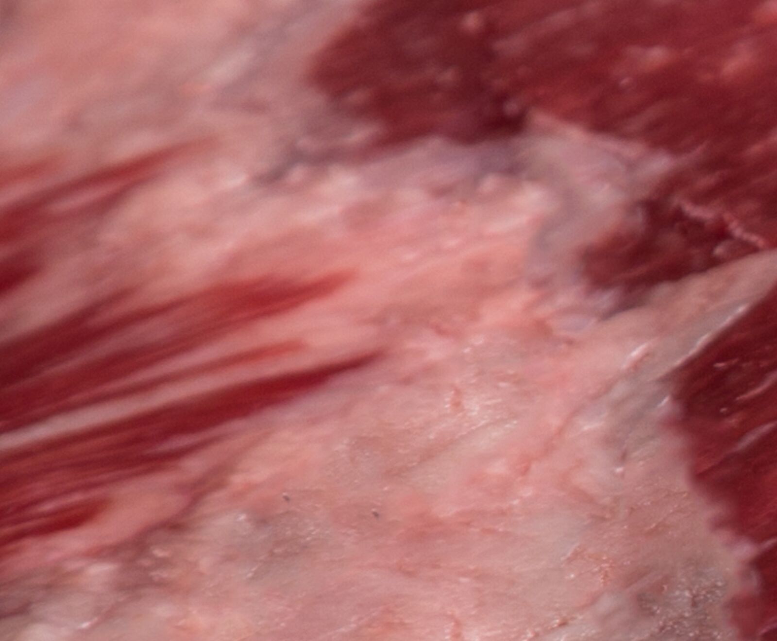 US Black Angus Flank Steak