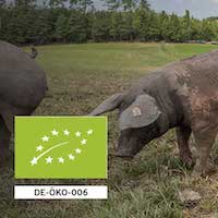 Bio Schwein