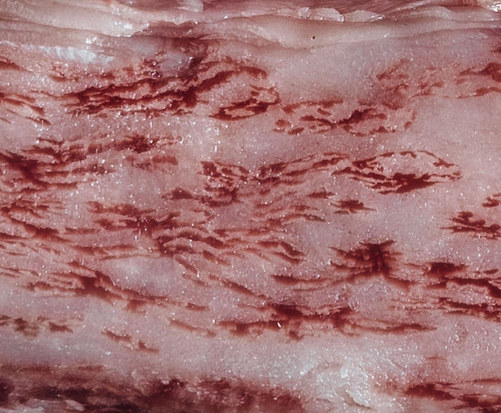 Jap. Wagyu Akune Gold Rib Eye Caps