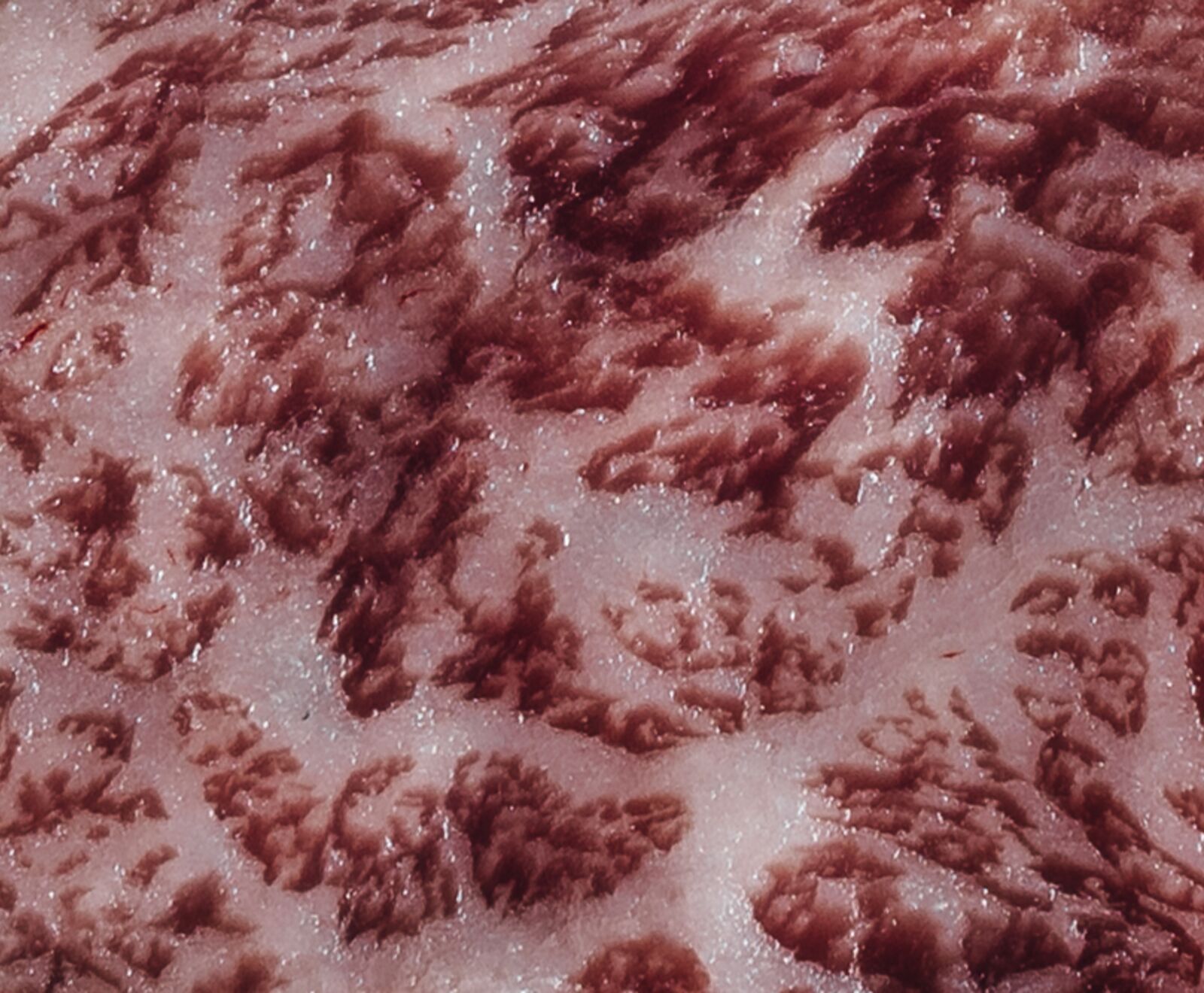 Jap. Wagyu Akune Gold Filet Slices