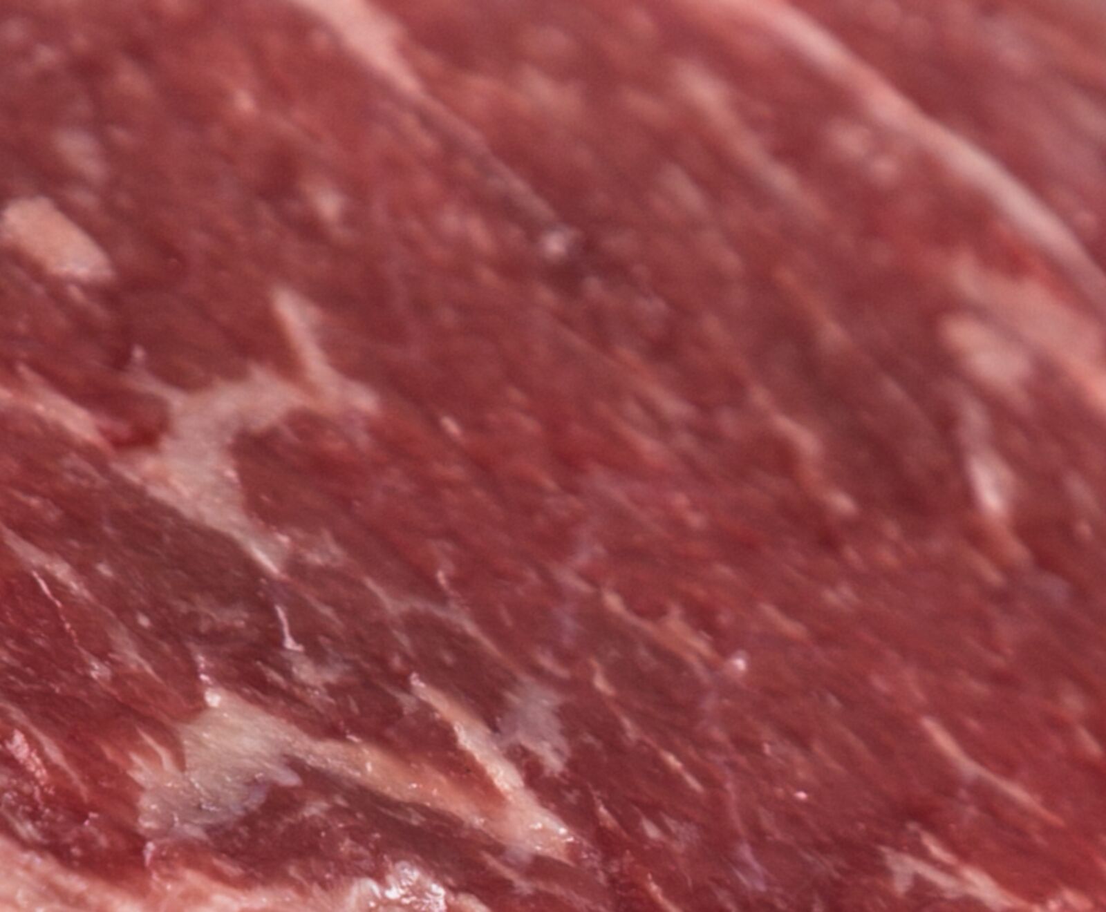 US Black Angus T-Bone Steak