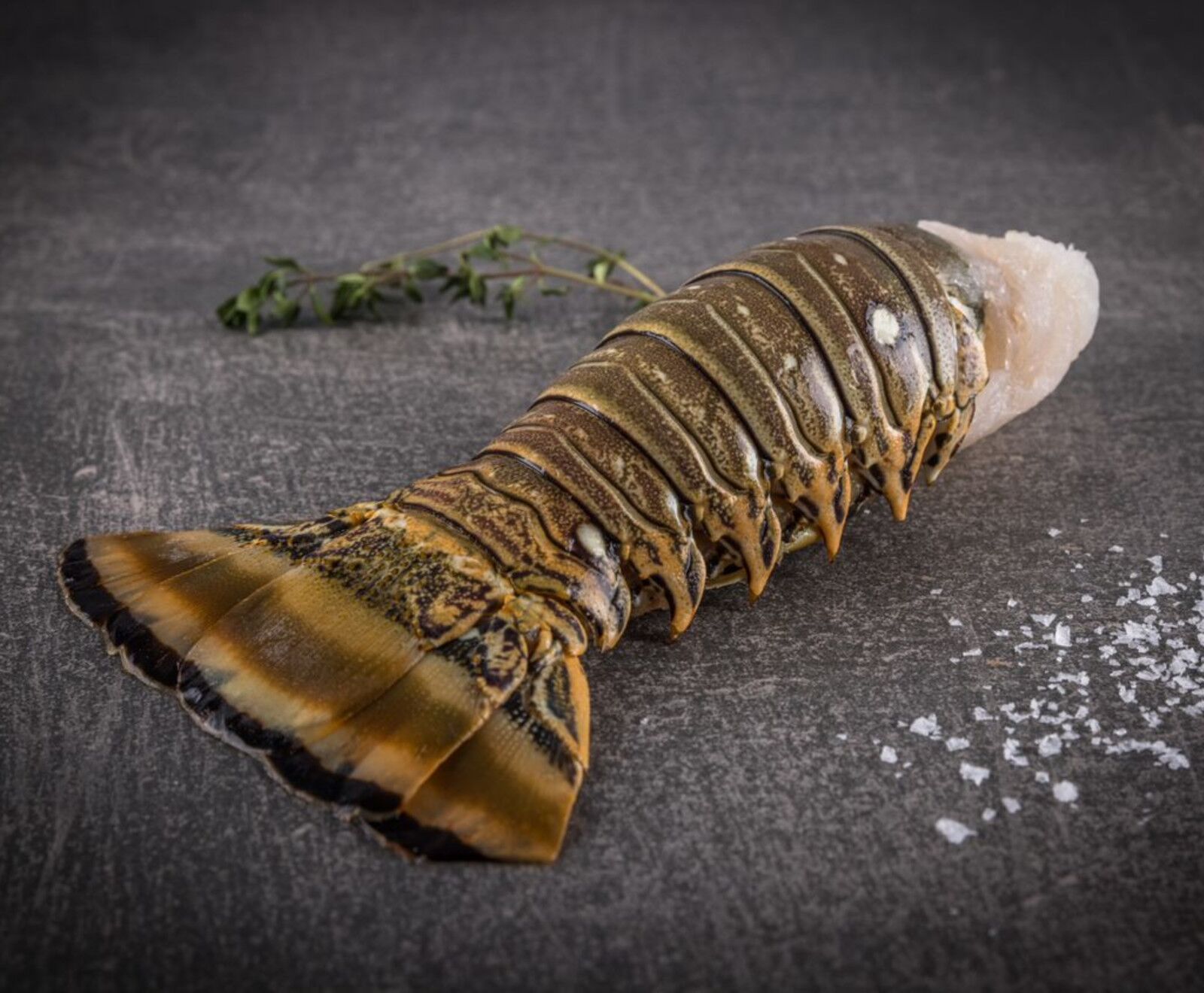 Karibischer Langustenschwanz