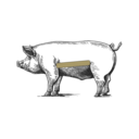 Grafik von einem Schwein, wo das Flank eingezeichnet ist.