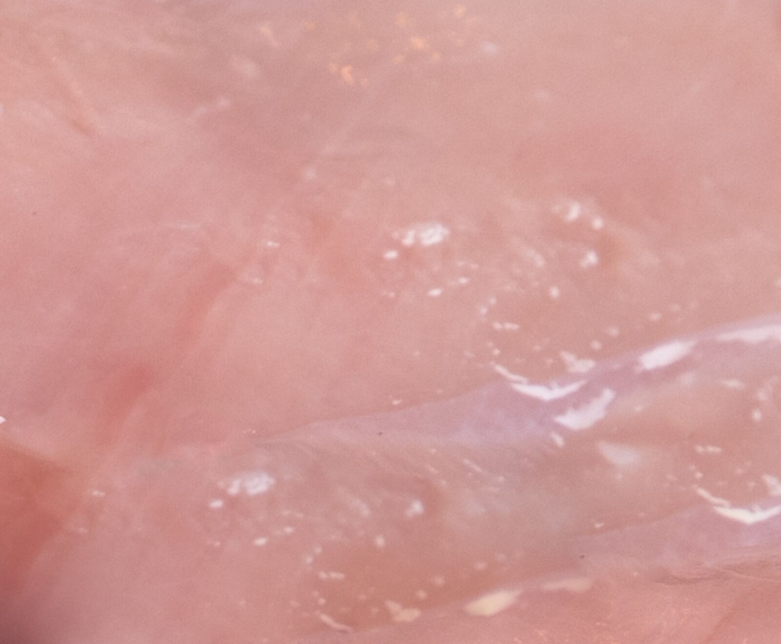 Eifeler Kaninchenrückenfilets