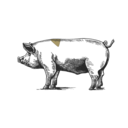 Grafik von einem Schwein, wo das Pluma eingezeichnet ist.