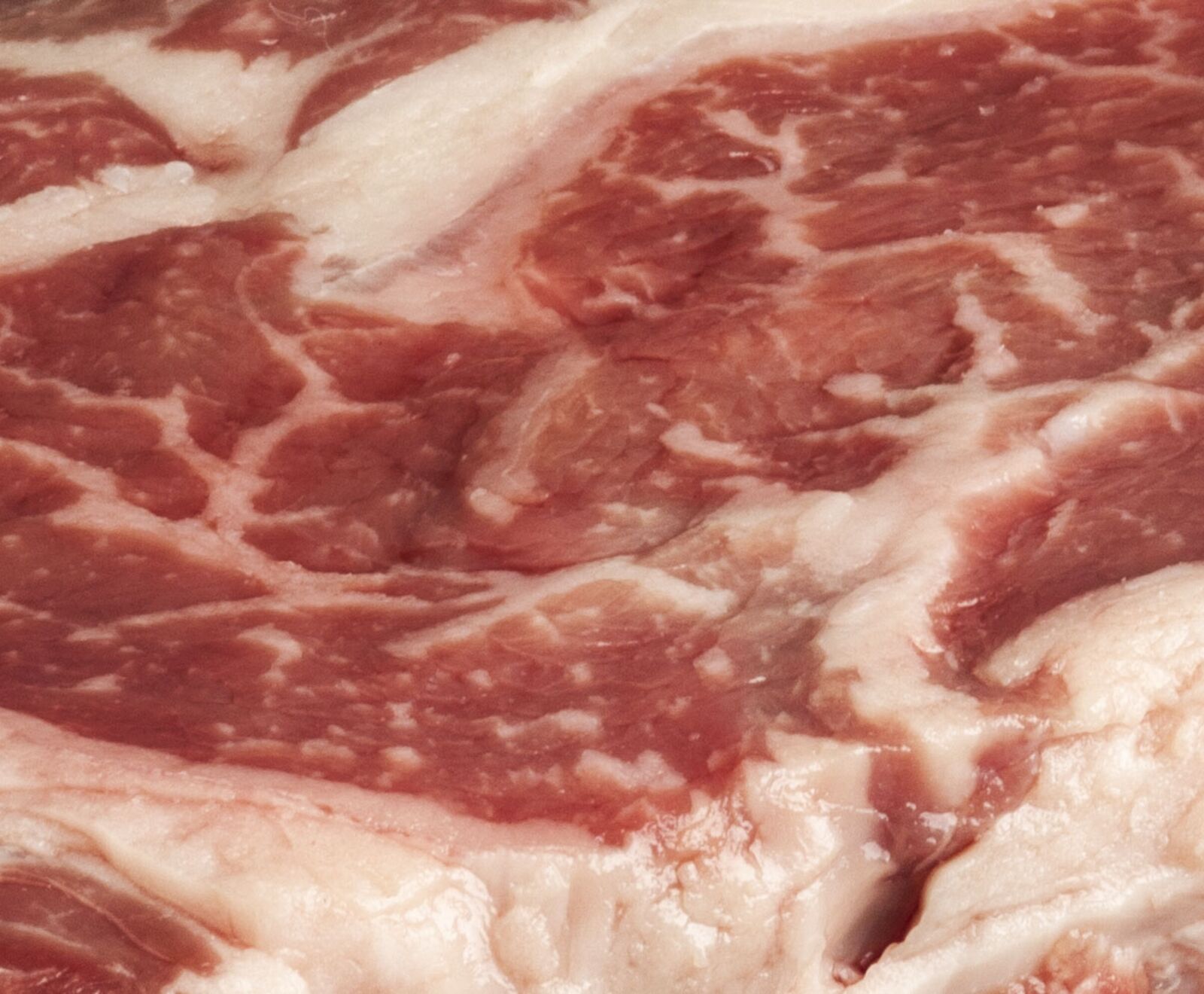 US Wagyu Rib Eye Steak