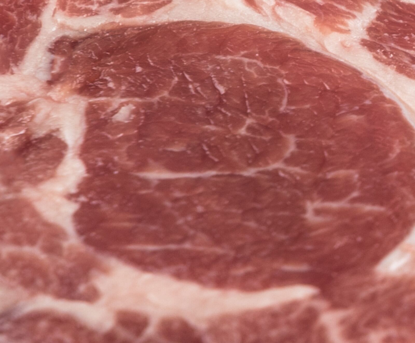 Irische Salzwiesenlamm Tomahawks