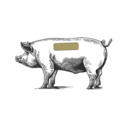 Grafik von einem Schwein, wo das Kotelett eingezeichnet ist.