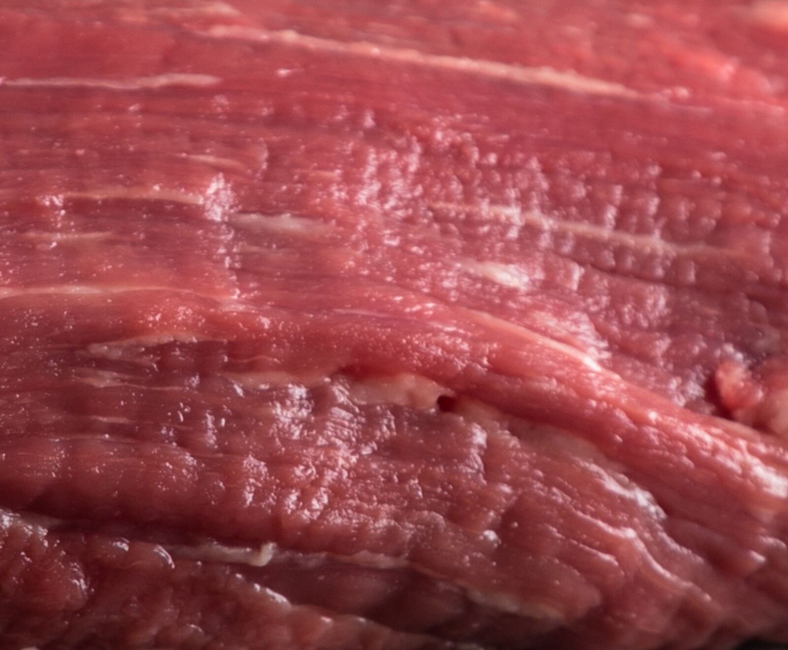 US Black Angus Teres Major