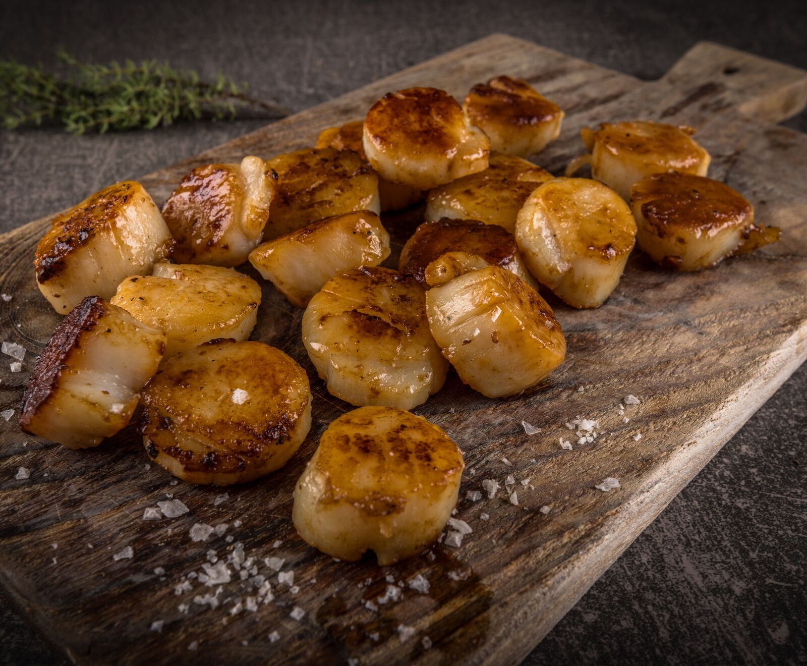 Kanadische Jakobsmuscheln 