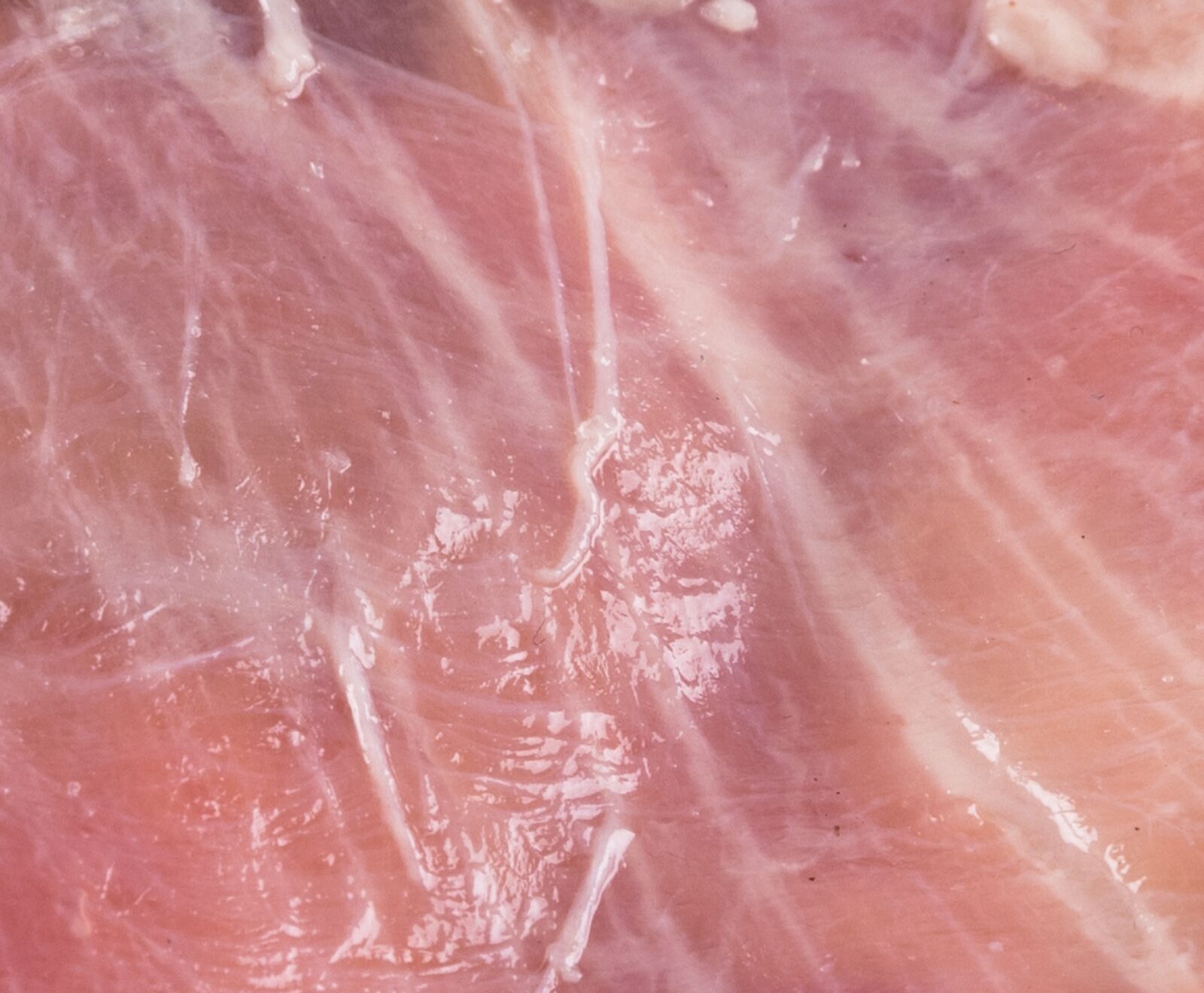 Eifeler Ur-Lamm Schulter ohne Knochen 