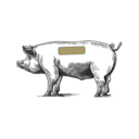 Grafik von einem Schwein, wo das Kotelett eingezeichnet ist.