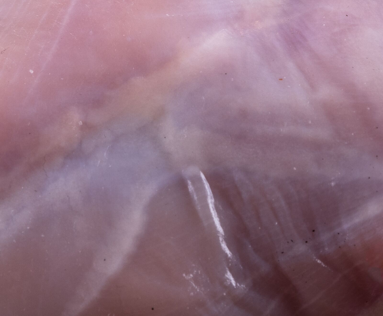 Eifeler Kaninchenkeule