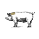 Grafik von einem Schwein, wo der Nacken eingezeichnet ist.