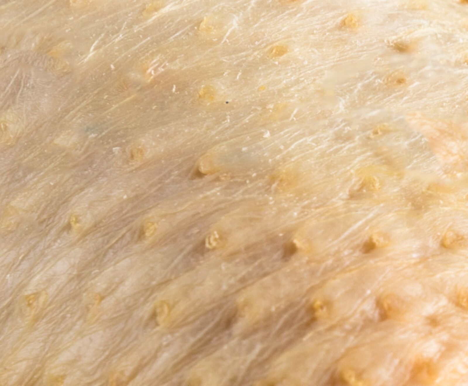 Französische Maishähnchen Keule (ausgelöst)