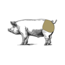 Grafik von einem Schwein, wo das Krustenbraten eingezeichnet ist.