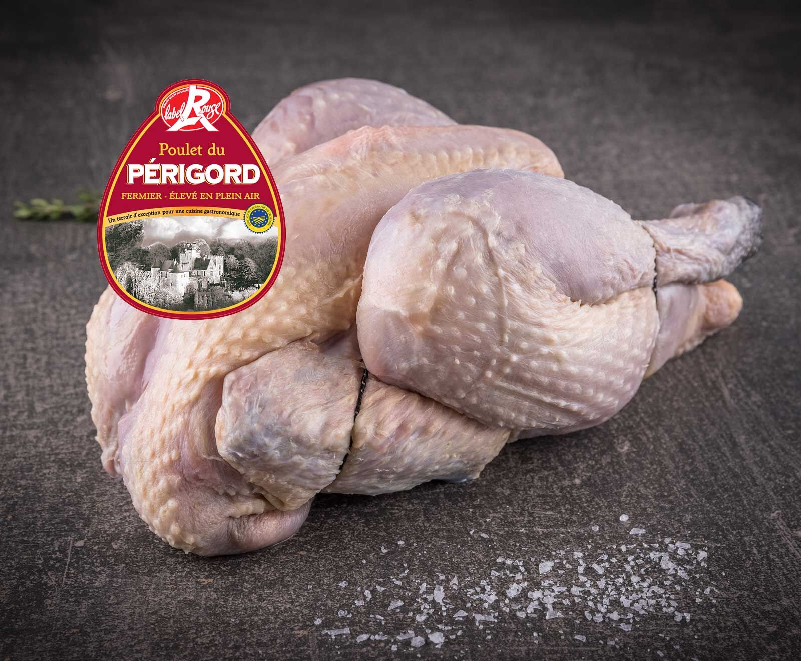 Französisches Schwarzfederhuhn 