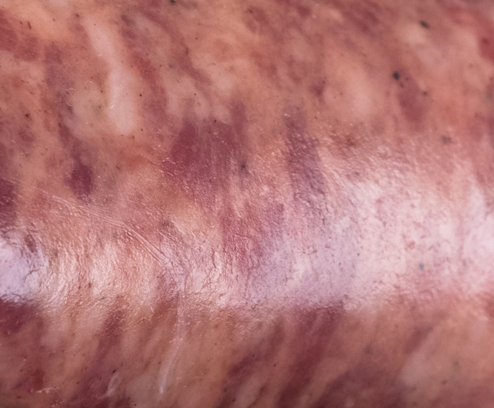 Toskanische Salsiccia Tradizionale