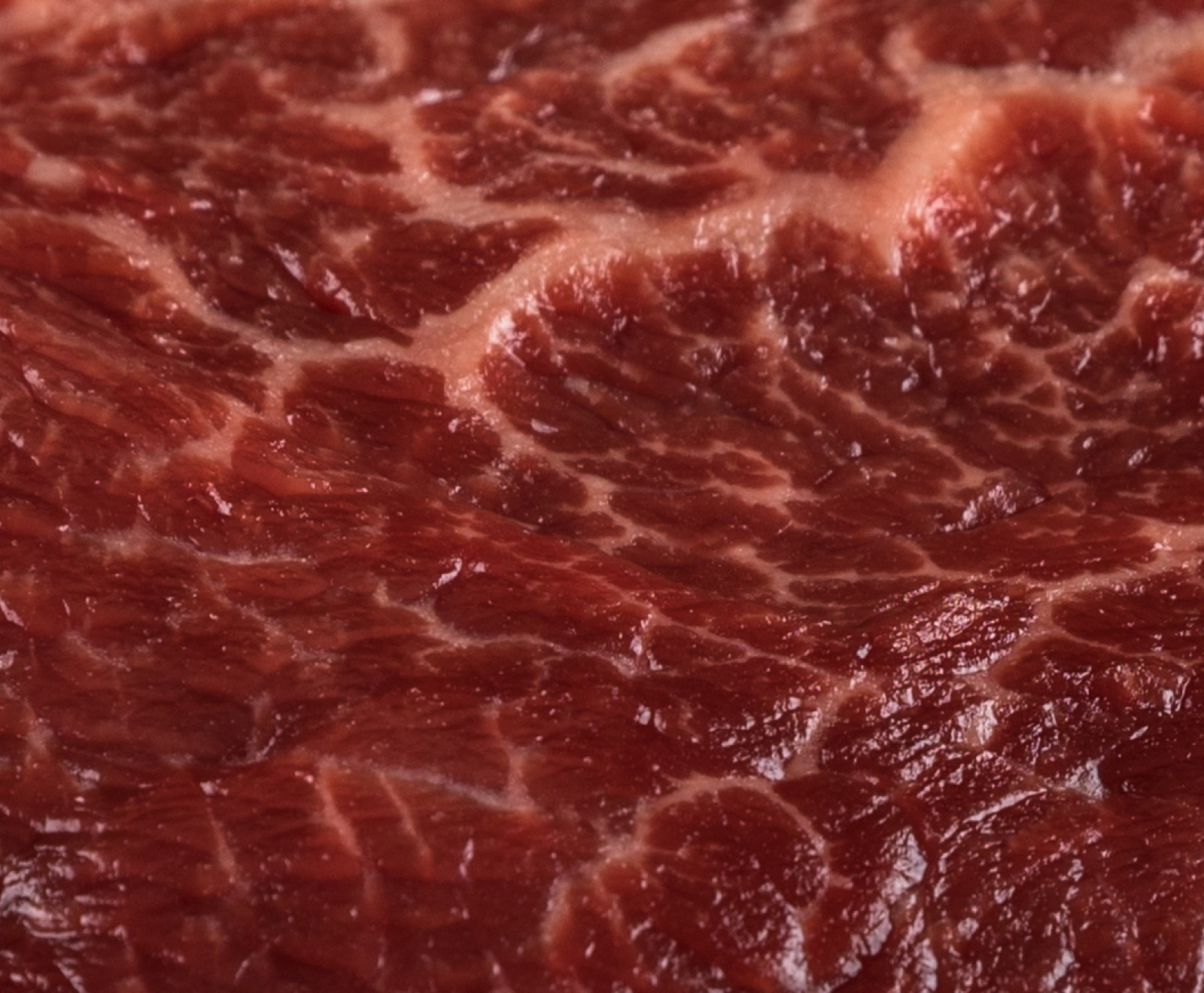 Txogitxu Filetspitzen