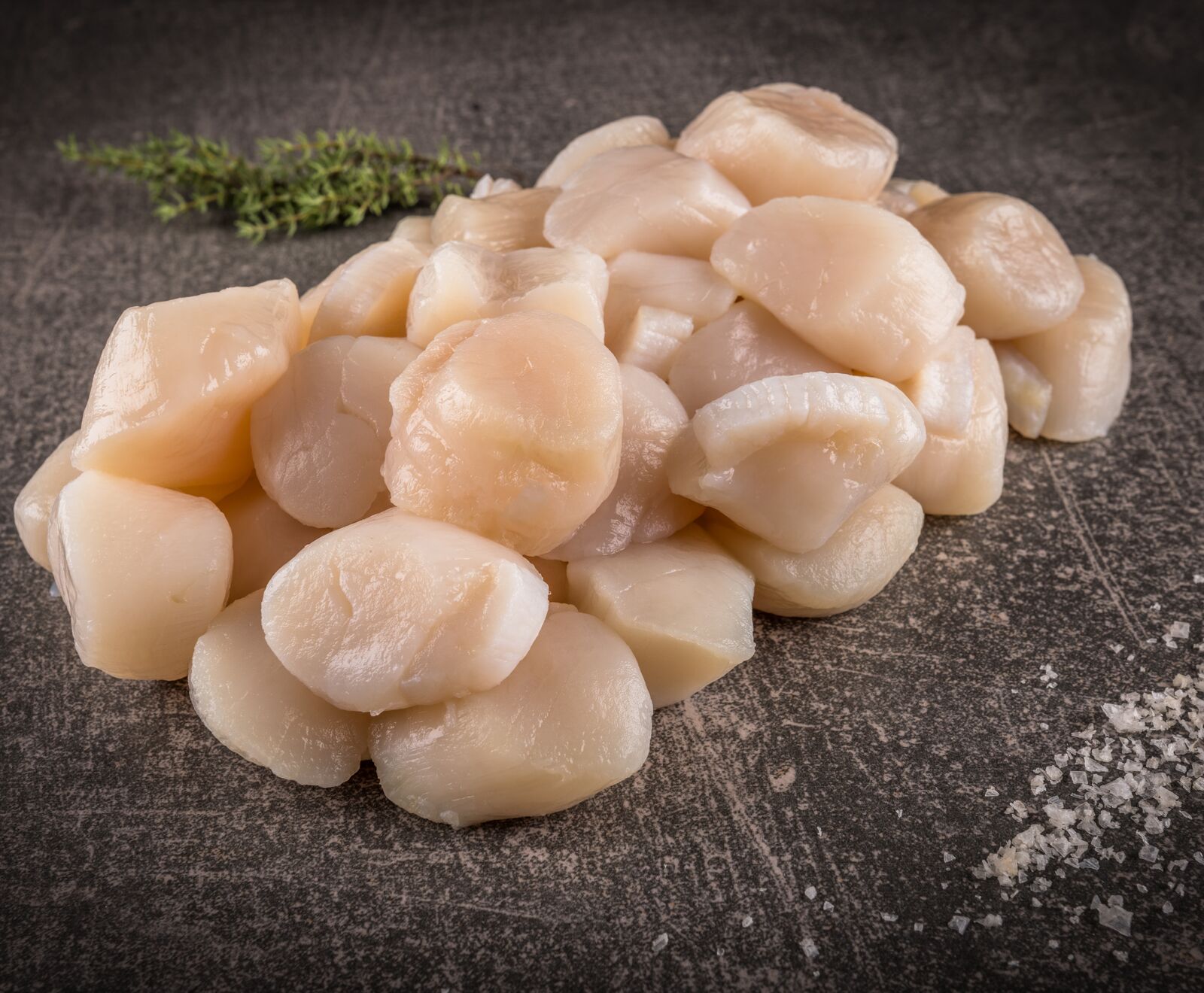 Kanadische Jakobsmuscheln 