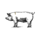 Grafik von einem Schwein, wo das Secreto eingezeichnet ist.