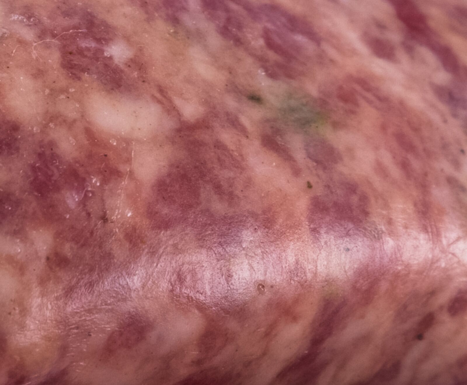 Toskanische Fenchel Salsiccia 