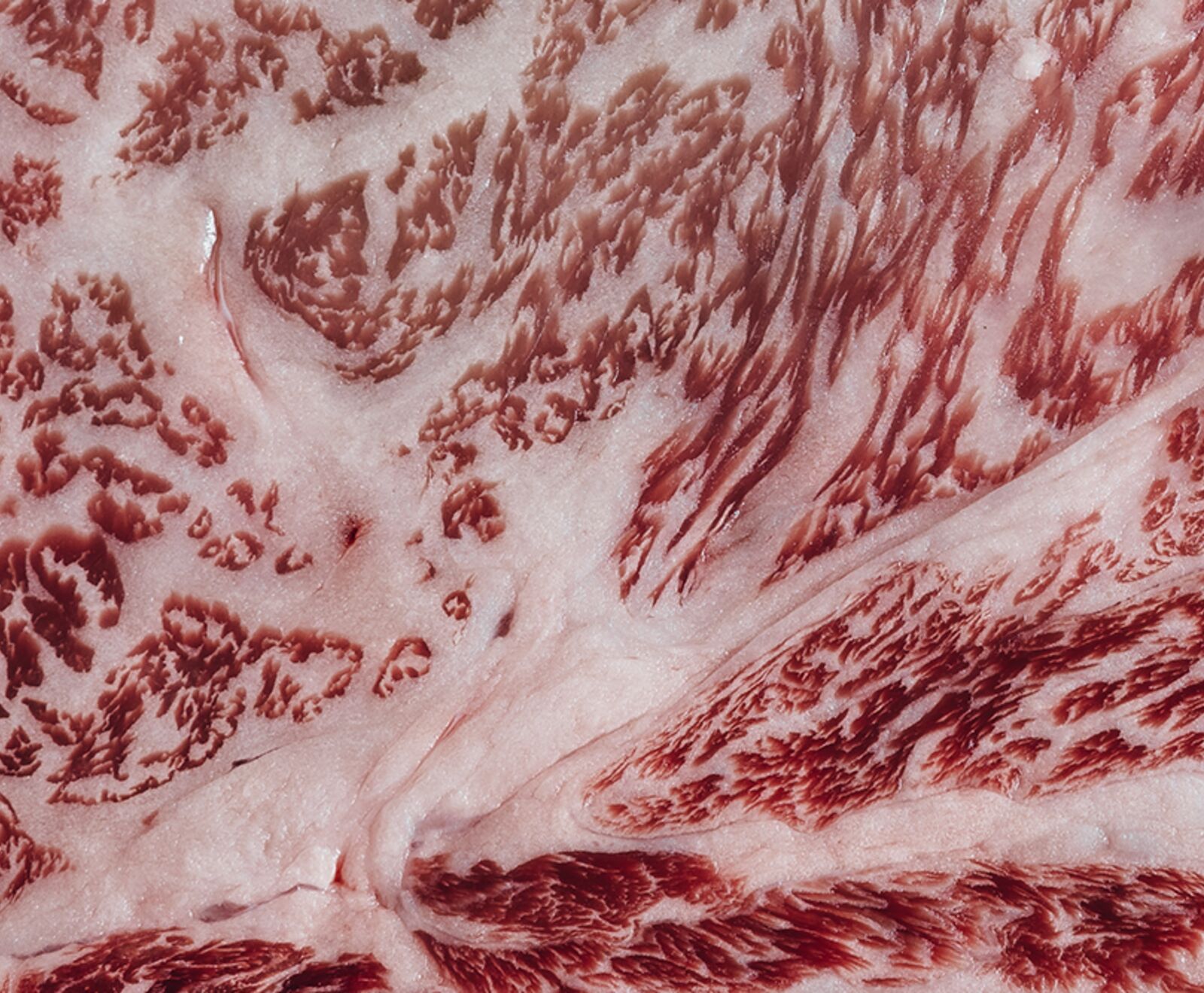 DonCarne_Jap.-Akune-Gold-Rib-Eye-***-Rib-Eye-250g-(39995-eurokg)