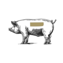 Grafik von einem Schwein, wo die Rippchen eingezeichnet ist.