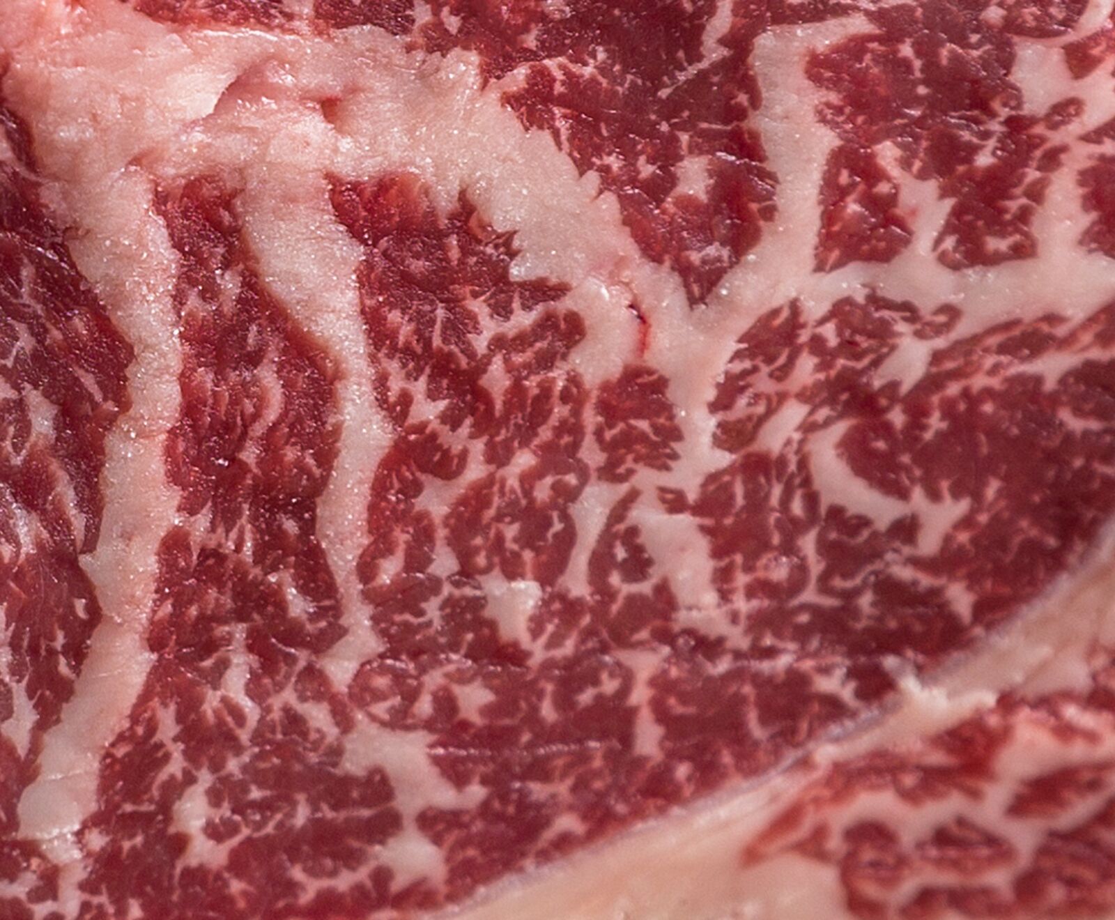 Txogitxu Rib Eye Japones Steak