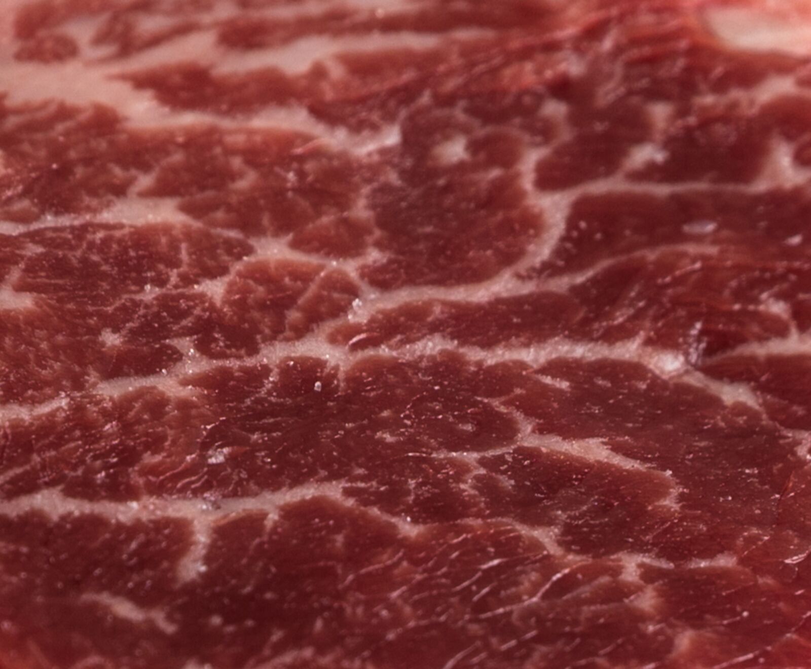 Txogitxu Filetspitzen Galicien